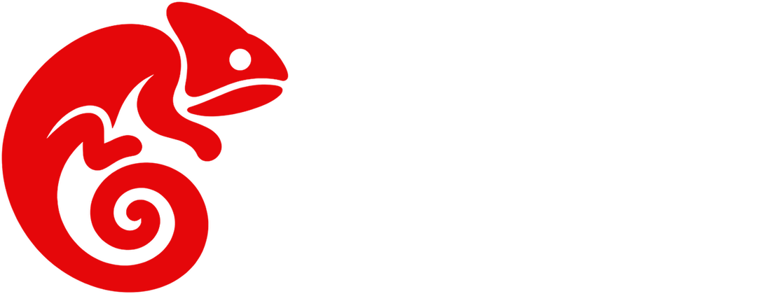 NextPrint Solutions
